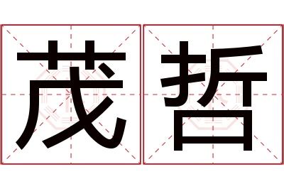 哲名字意思